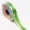 Fita Maxi 100m verde decorado