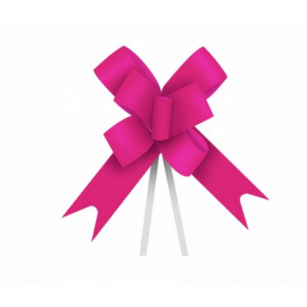 Laço Maxi FM 100L 16mmx34cm 10uni Pink