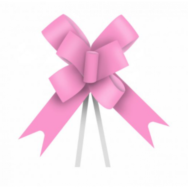 Laço Maxi FM 100L 16mmx34cm 10uni Rosa