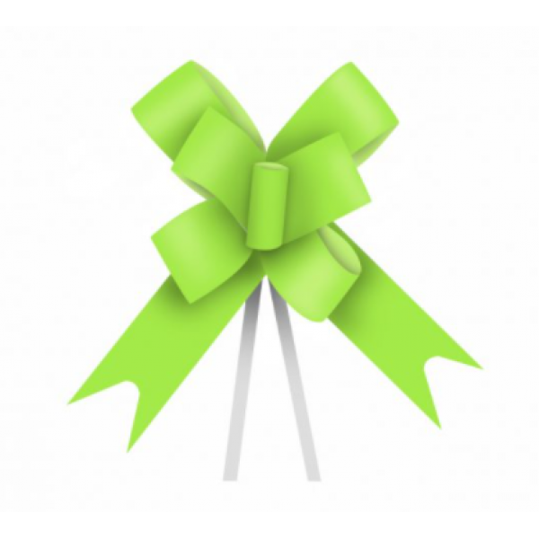Laço Maxi FM 100L 24mmx50cm 10uni Verde Limao