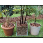 Argila expandida 50 litros